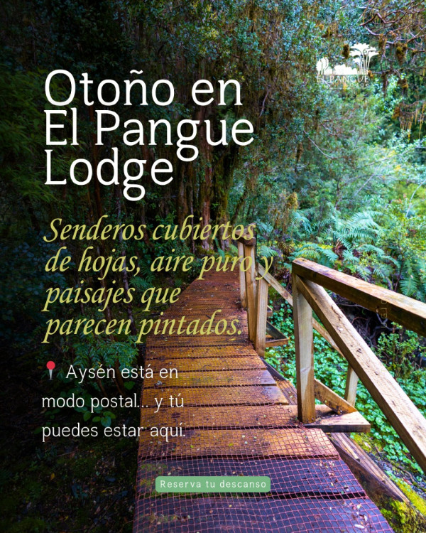 Otoño en El Pangue Lodge = naturaleza en su mejor versión. Senderos…