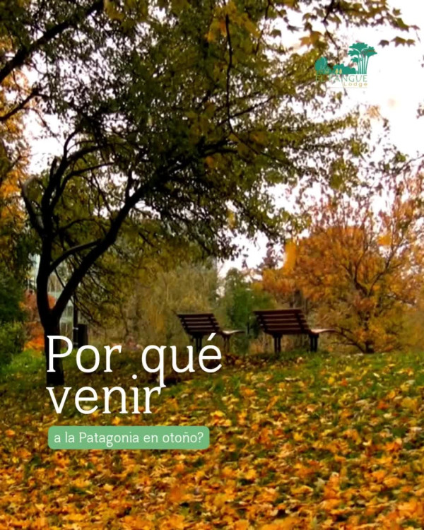 🍂✨ ¿Por qué visitar la mágica Patagonia en otoño? 1️⃣ Menos gente,…