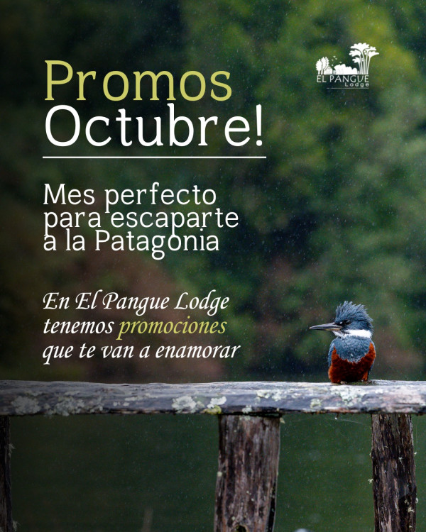 🍂 Octubre es el mes perfecto para escaparte a la Patagonia Y…